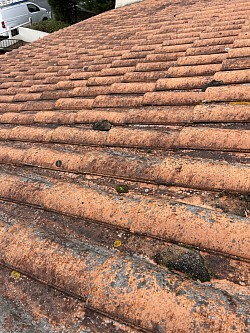 Inspection d’une toiture à Rezé présentant des mousses et des lichens avant nettoyage et rénovation.